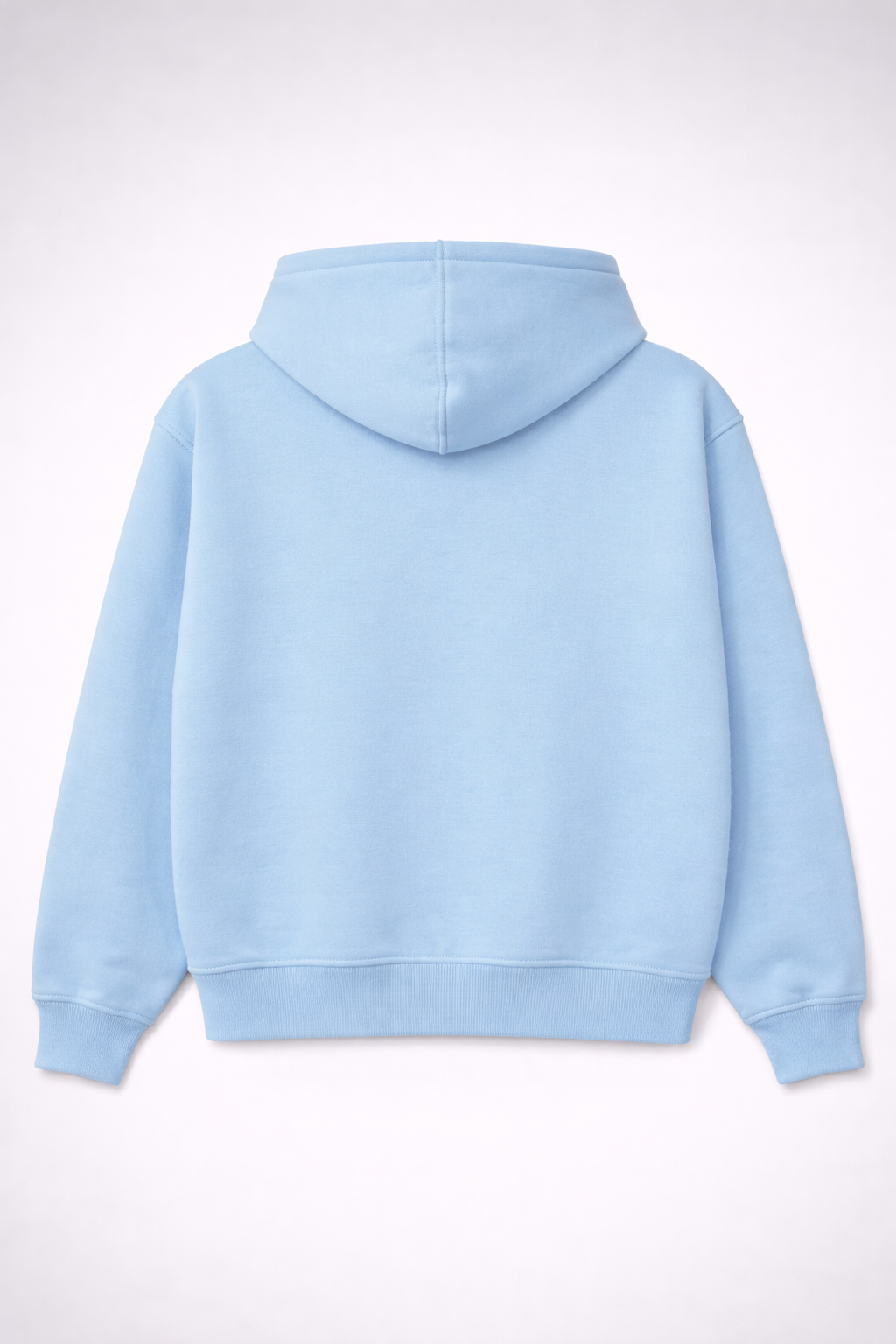 V ZIPPER HODDIE